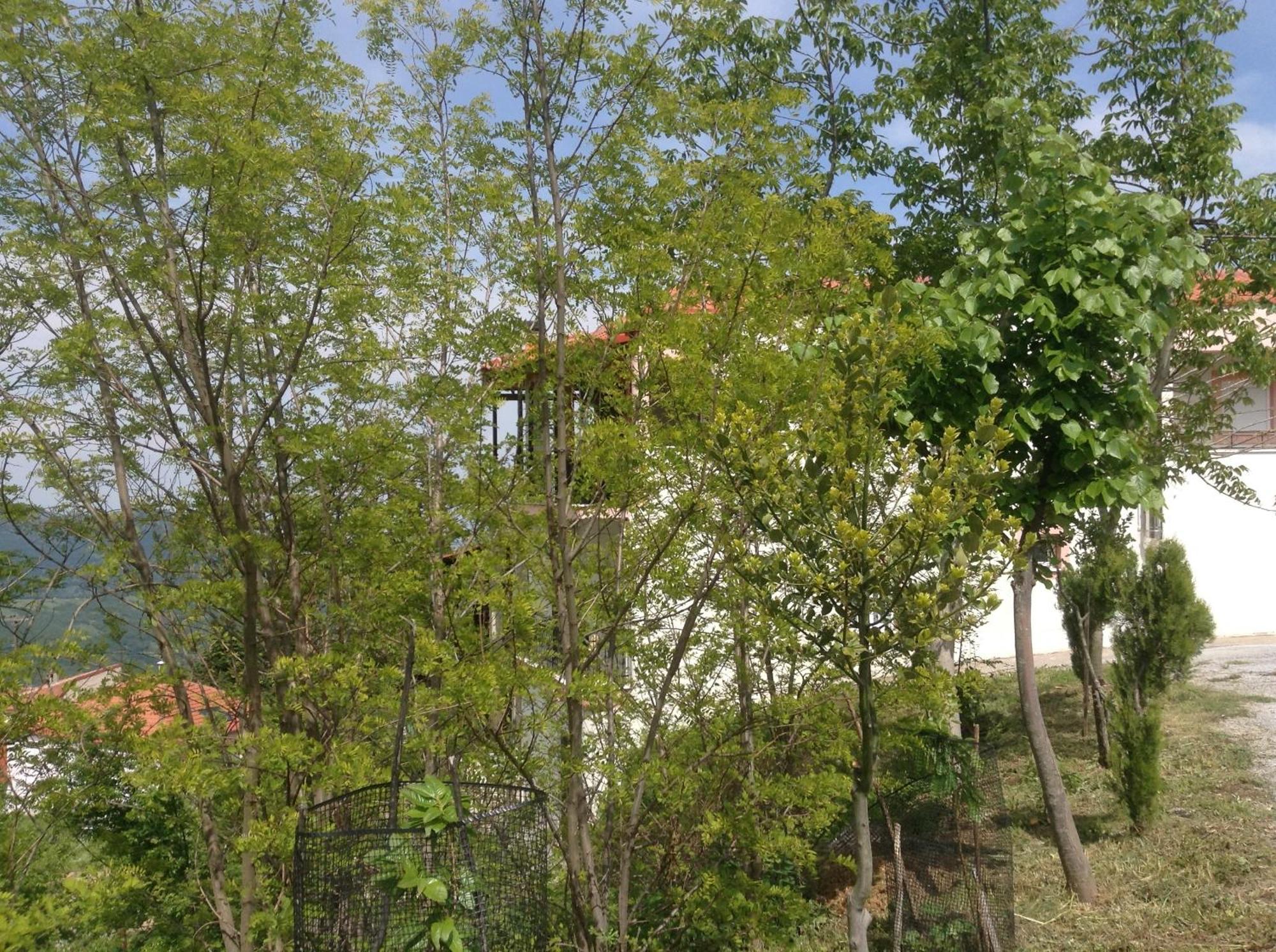 Πανδοχείο Λίμνης Πλαστήρα Hotel Kasztaniá Kültér fotó