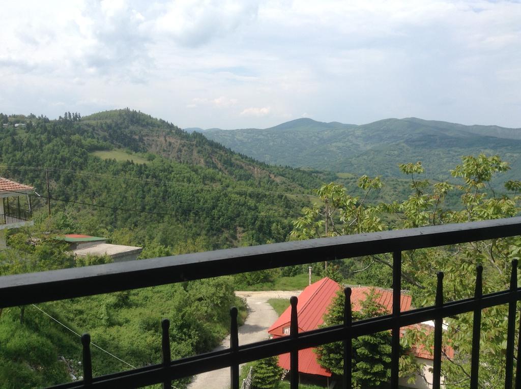 Πανδοχείο Λίμνης Πλαστήρα Hotel Kasztaniá Szoba fotó